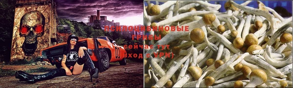 COCAINE Волосово