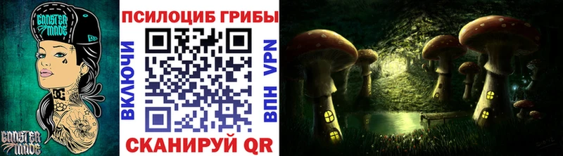 Псилоцибиновые грибы GOLDEN TEACHER  купить наркотики цена  Славянск-на-Кубани 