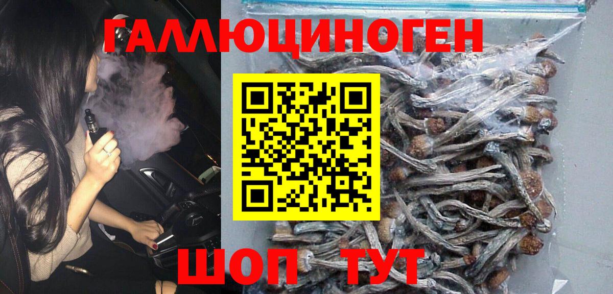 Псилоцибиновые грибы Psilocybe Славянск-на-Кубани
