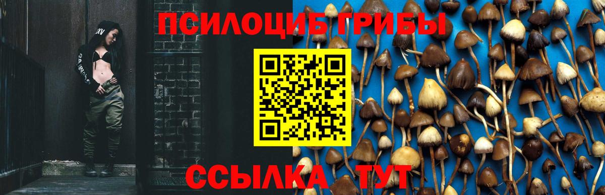 Галлюциногенные грибы Cubensis  Галлюциногенные грибы мухоморы  Вход с VPN  Славянск-на-Кубани 